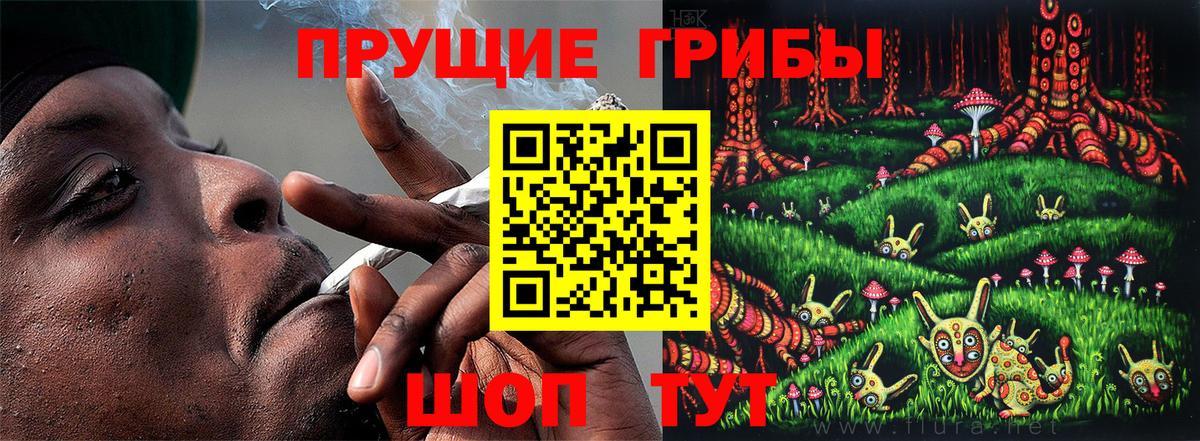 Кувандык  Псилоцибиновые грибы Magic Shrooms  Вход с VPN 
